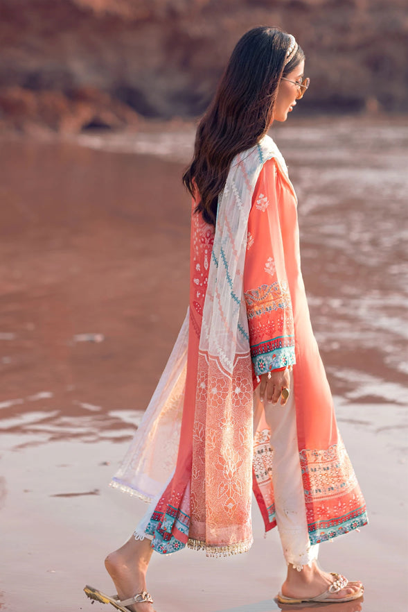 NS-62 DREAMY CORAL