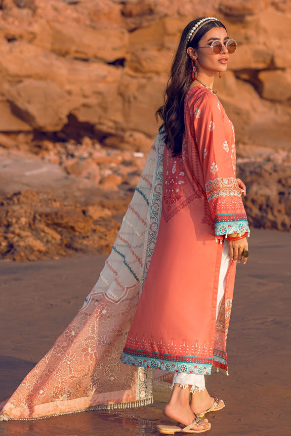 NS-62 DREAMY CORAL